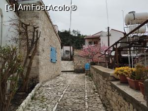 P02 [MAR-2025] Lania