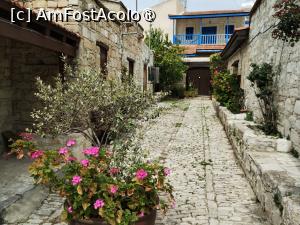 P03 [MAR-2025] Lania