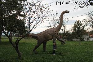 foto-vacanta la Geoparcul Dinozaurilor