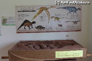 foto-vacanta la Geoparcul Dinozaurilor