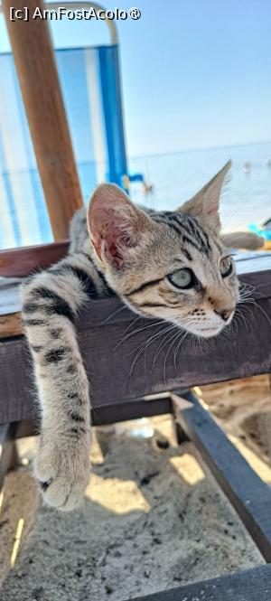 P01 [JUN-2025] Deci...să stăm la plajă!