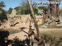 foto-vacanta la Valencia Bioparc - Grădina Zoologică din Valencia