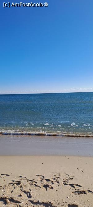 P10 [DEC-2025] Marea în decembrie