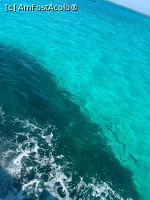 foto-vacanta la Gravity Hotel & Aqua Park