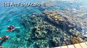 foto-vacanta la Sheraton Soma Bay Resort