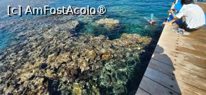 foto-vacanta la Sheraton Soma Bay Resort