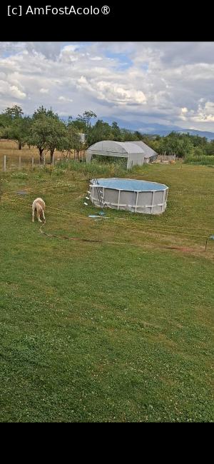 foto-vacanta la Agropensiunea Alex