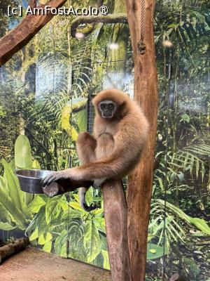 P35 [JAN-2026] Grădina Zoologică din Salzburg