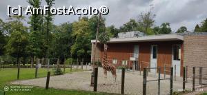 foto-vacanta la Krakow Zoo