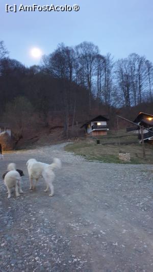 foto-vacanta la Complex turistic Satu Muscelean [Albeștii de Muscel]