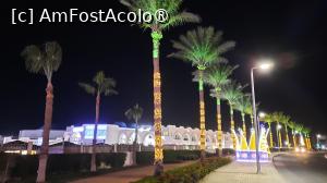 foto-vacanta la Albatros Palace Sharm Resort