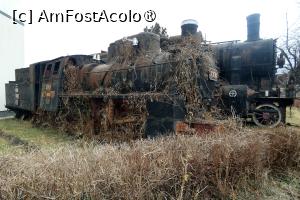 P25 [JAN-2024] Bucureşti / detalii: Cap de serie pentru căi ferate înguste)