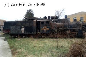 P26 [JAN-2024] Aceeaşi 764.201, năpădită de vegetaţie