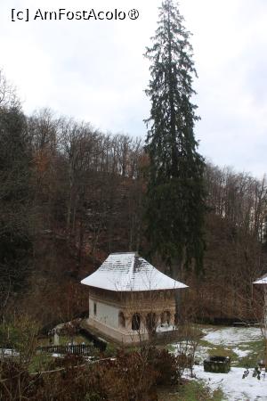 foto-vacanta la Mănăstirea Jgheaburi [Piscul Mare, com Stoeneşti]