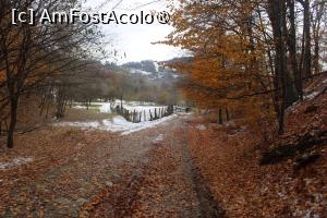 foto-vacanta la Mănăstirea Jgheaburi [Piscul Mare, com Stoeneşti]