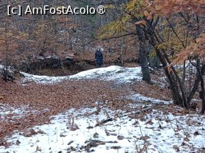 foto-vacanta la Mănăstirea Jgheaburi [Piscul Mare, com Stoeneşti]