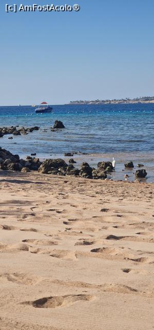foto-vacanta la Swissotel Sharm El Sheikh Hotel [Naama Bay]