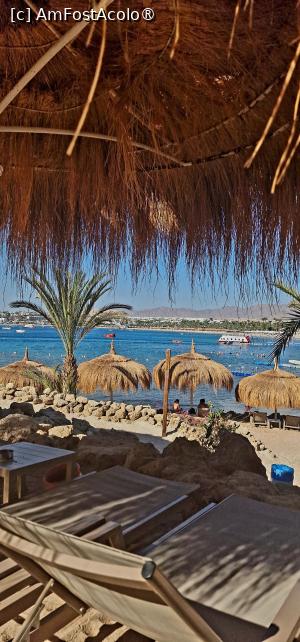 foto-vacanta la Swissotel Sharm El Sheikh Hotel [Naama Bay]
