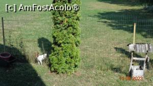 foto-vacanta la Vilele Colț de Rai
