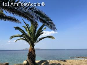 foto-vacanta la Sentimento Hotel