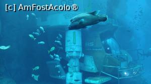 foto-vacanta la SeaWorld Abu Dhabi