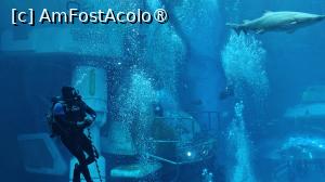 foto-vacanta la SeaWorld Abu Dhabi