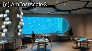foto-vacanta la SeaWorld Abu Dhabi