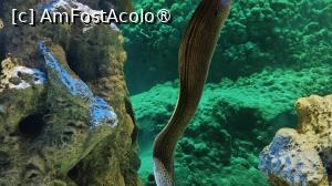foto-vacanta la SeaWorld Abu Dhabi