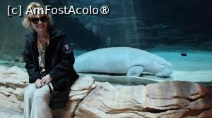 foto-vacanta la SeaWorld Abu Dhabi