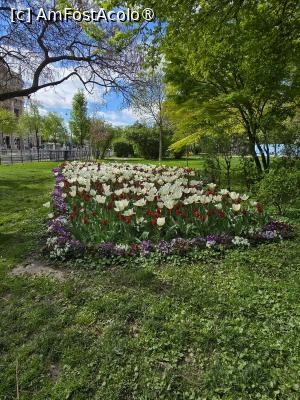 foto-vacanta la H2 Hotel Wien Schonbrunn