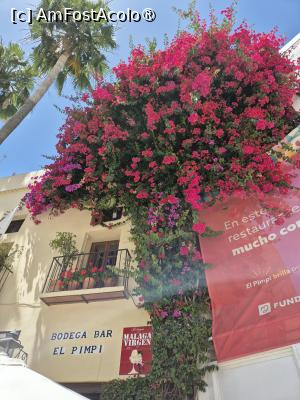 foto-vacanta la 'Opționale' din Fuengirola