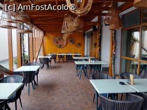 foto-vacanta la Bohemia Hotel
