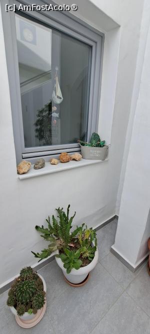 foto-vacanta la Xenios Zeus Apartments [i. Astypalea]