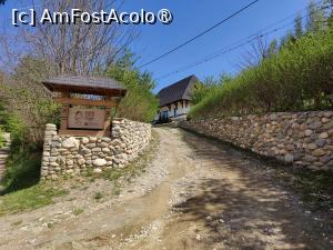 foto-vacanta la Cabanele Plai-din-Bran [Predeluț]