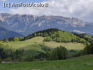foto-vacanta la Cabanele Plai-din-Bran [Predeluț]
