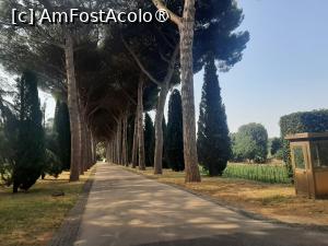 P21 [JUL-2025] Villa Barberini