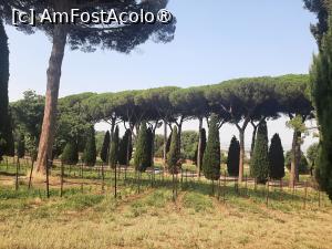 P24 [JUL-2025] Villa Barberini