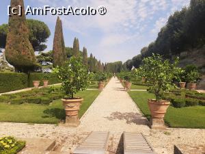 P36 [JUL-2025] Villa Barberini