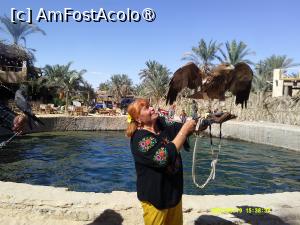 P13 [SEP-2025] 13. Eu și șoimul.