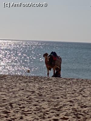 foto-vacanta la Nozha Beach Resort & Spa [Mrezga]