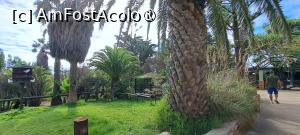 foto-vacanta la Descoperă insula Porto Santo