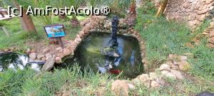 foto-vacanta la Descoperă insula Porto Santo