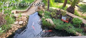 foto-vacanta la Descoperă insula Porto Santo