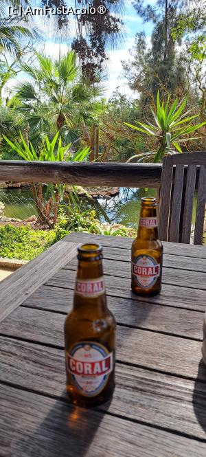foto-vacanta la Descoperă insula Porto Santo