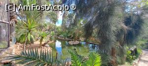 foto-vacanta la Descoperă insula Porto Santo