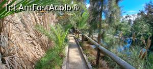 foto-vacanta la Descoperă insula Porto Santo