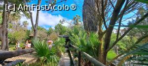 foto-vacanta la Descoperă insula Porto Santo