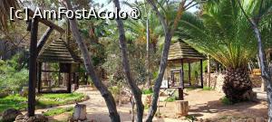 foto-vacanta la Descoperă insula Porto Santo