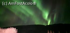 P54 [OCT-2024] Aurora Boreală