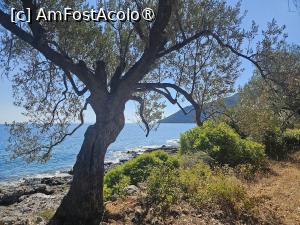 foto-vacanta la Nikole's Villas [Tyros]